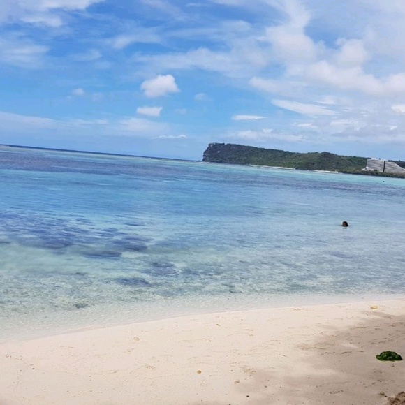 Meet your Posher, Sid - Picture 1 of 1